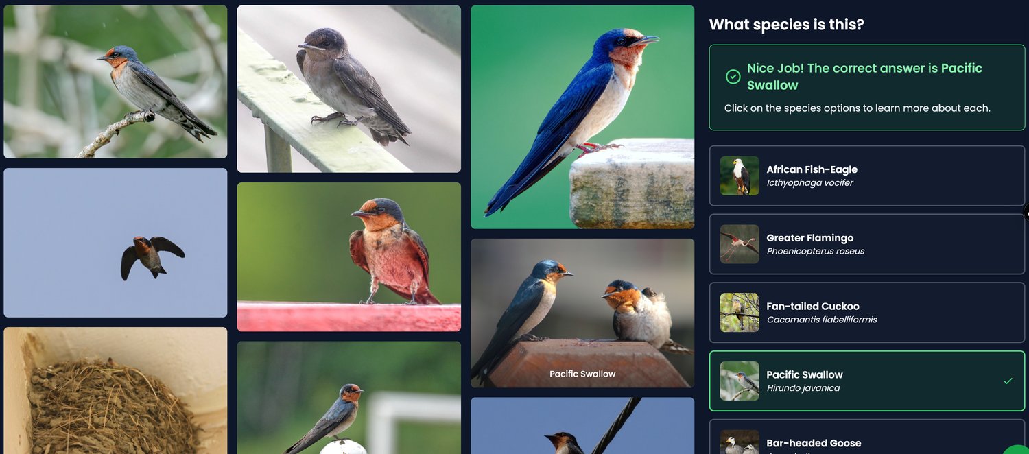 Test Your Nature Knowledge: Three-Tier Daily Species Challenges