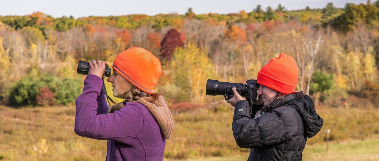 Introducing Cataloging Projects