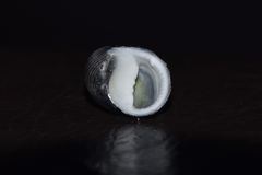 Hawaiian Black Nerite