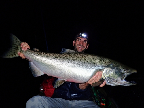 Salmons and Trouts
