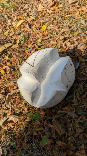 giant puffball