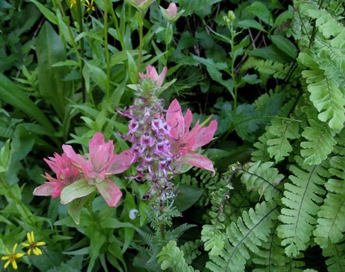 giant red paintbrush